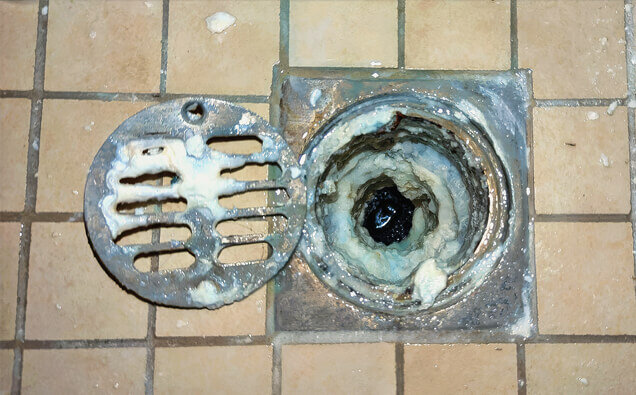 https://blockeddrainsnollamara.com.au/uploads/2025/07/blocked-shower-drains-33151.jpg