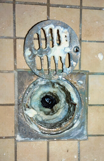 https://blockeddrainsnollamara.com.au/uploads/2025/07/blocked-shower-drains-86331.jpg